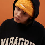 バーシティーロゴニットフーディー / VARSITY LOGO KNIT HOODIE