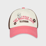ザマルチーズクラブカラーブロックボールキャップ / The maltese club color block ball cap