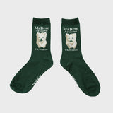 Maltese socks (6674867847286)