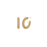 NO.262 [GOLD] EARRING