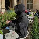 ASCLO Delphi  Padded Jumper (2color)