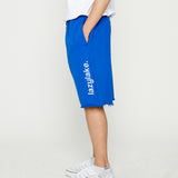 ビッグロゴスウェットショーツ / BIG LOGO SWEAT SHORTS (4559515385974)