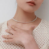 シルバーカテナネックレス / silver katena necklace (silver)
