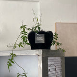フラフィーポット / FLUFFY POT (M / BLACK)