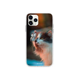 バタフライキャットケース / Butterfly cat case