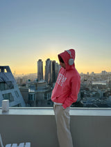 LMN Rio Michigan Oversized Fit Hoodie (5 colors)